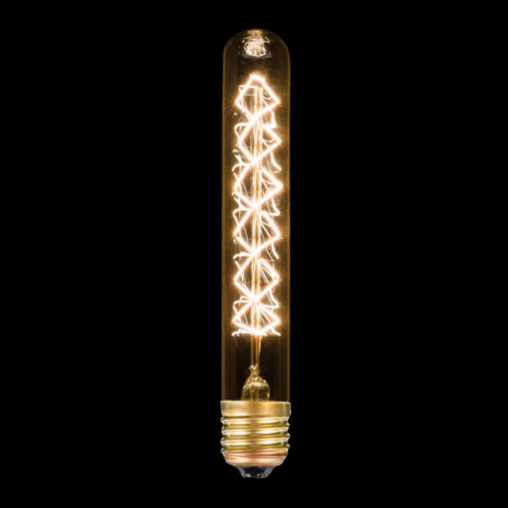 Ampoule décorative tube design style Edison 60W - 