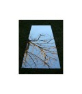 Miroir de jardin 50x25 cm acrylique