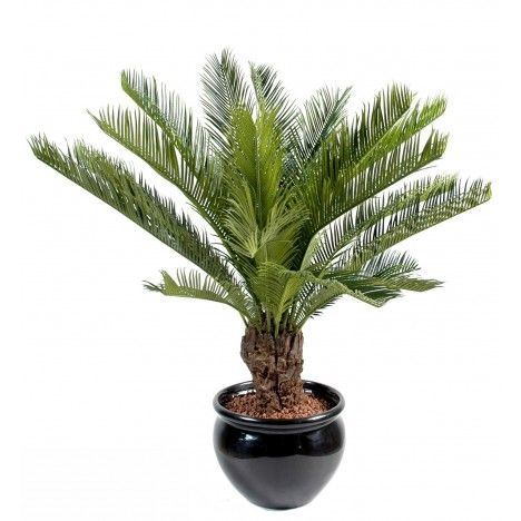 Plante artificielle tropicale Palmier Cycas 90 cm - 