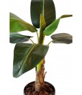 Plante artificielle tropicale Bananier 105 cm - 