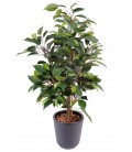 Plante artificielle Ficus tropical 60 cm - 